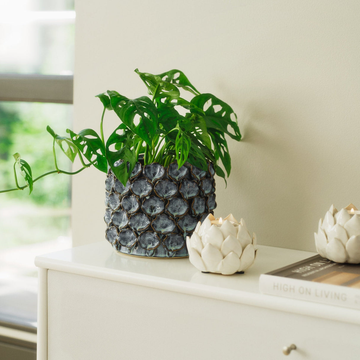 Biloba Sininen ruukku
