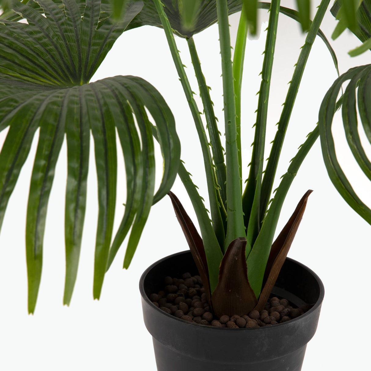 Flora Palmu 80 cm