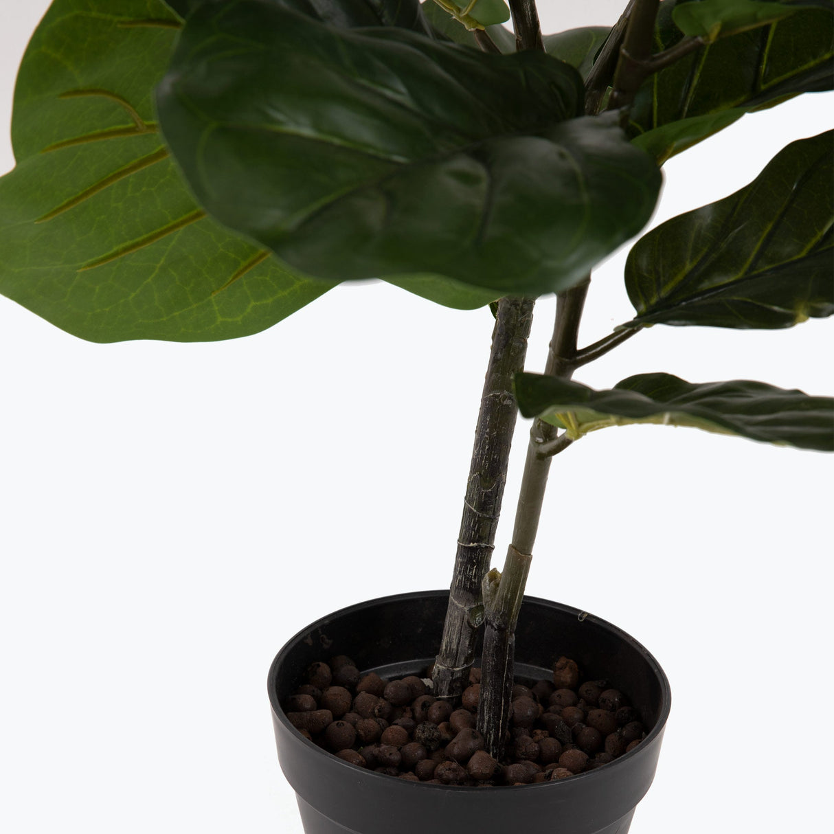 Flora Lyyraviikuna 100 cm