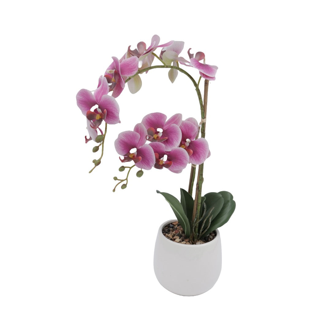 Orkidea roosa 53 cm