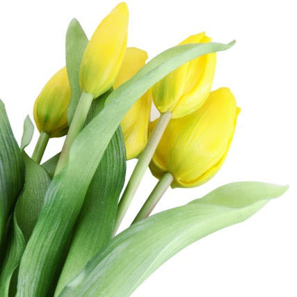Tulppaani tulppaanit keltainen 33 cm 7 kpl