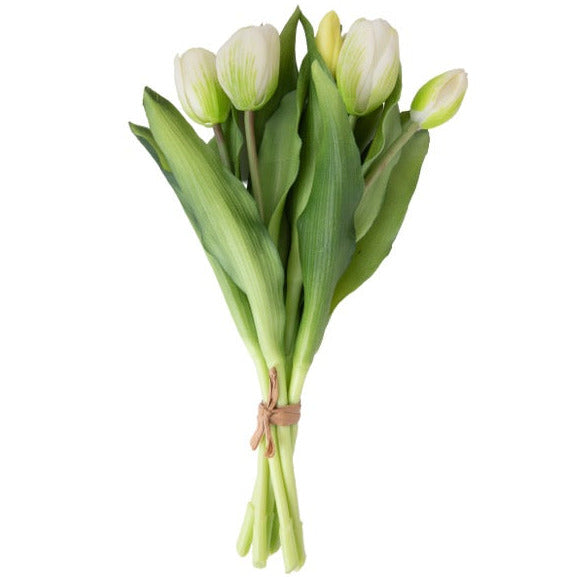 Tulppaani tulppaanit valkoinen 33 cm 7 kpl