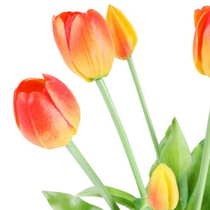 Tulppaani tulppaanit keltainen/punainen 40 cm 5 kpl