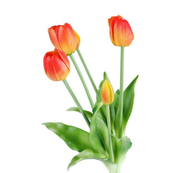 Tulppaani tulppaanit keltainen/punainen 40 cm 5 kpl