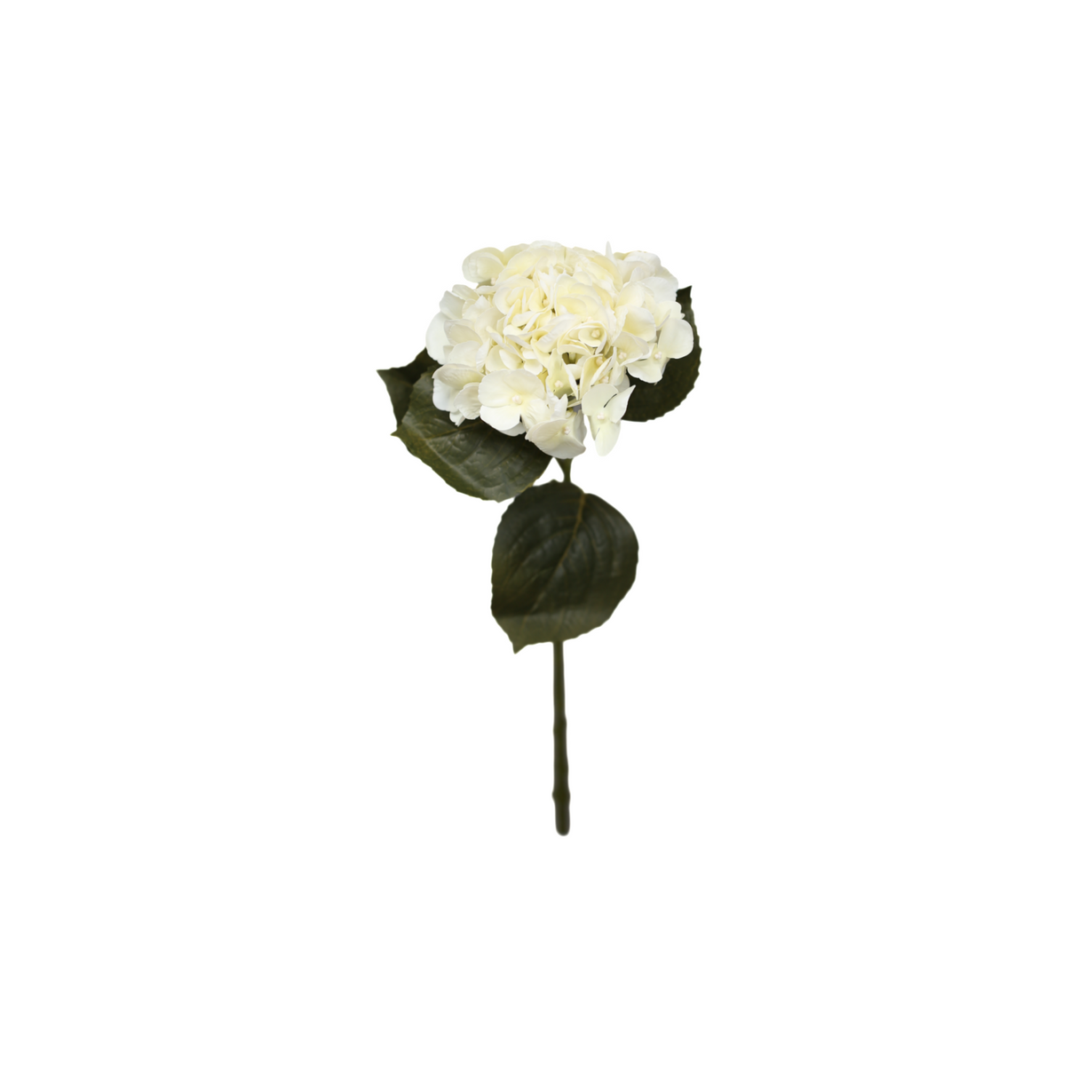 Hortensia valkoinen 62 cm