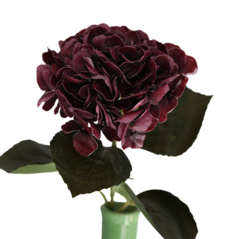 Hortensia viininpunainen 62 cm