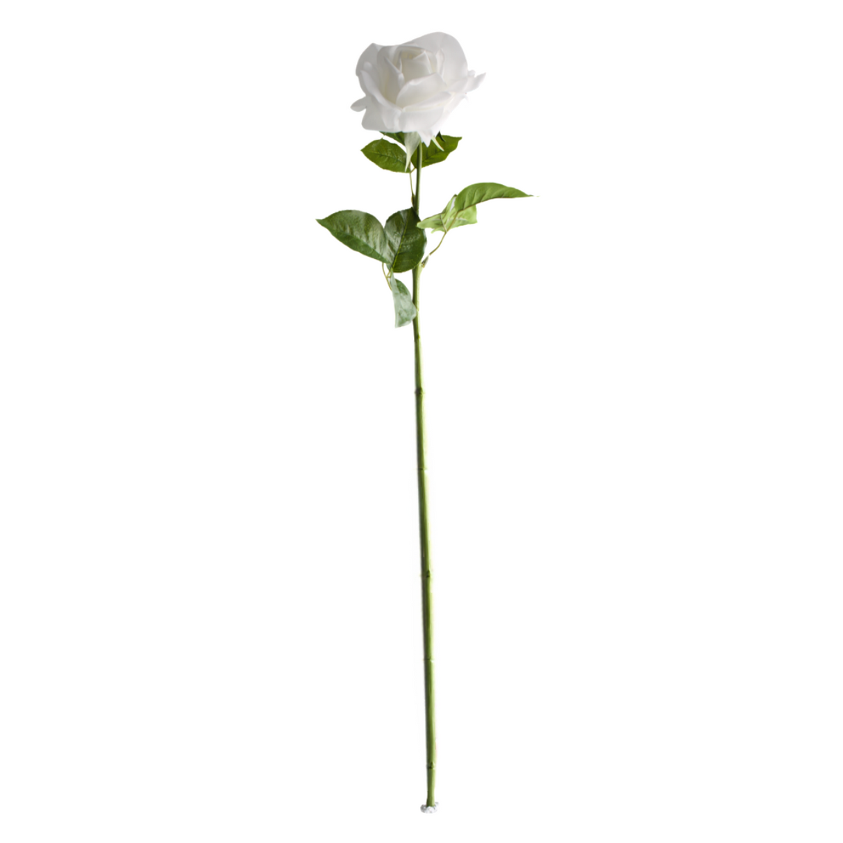 Rose valkoinen 64 cm