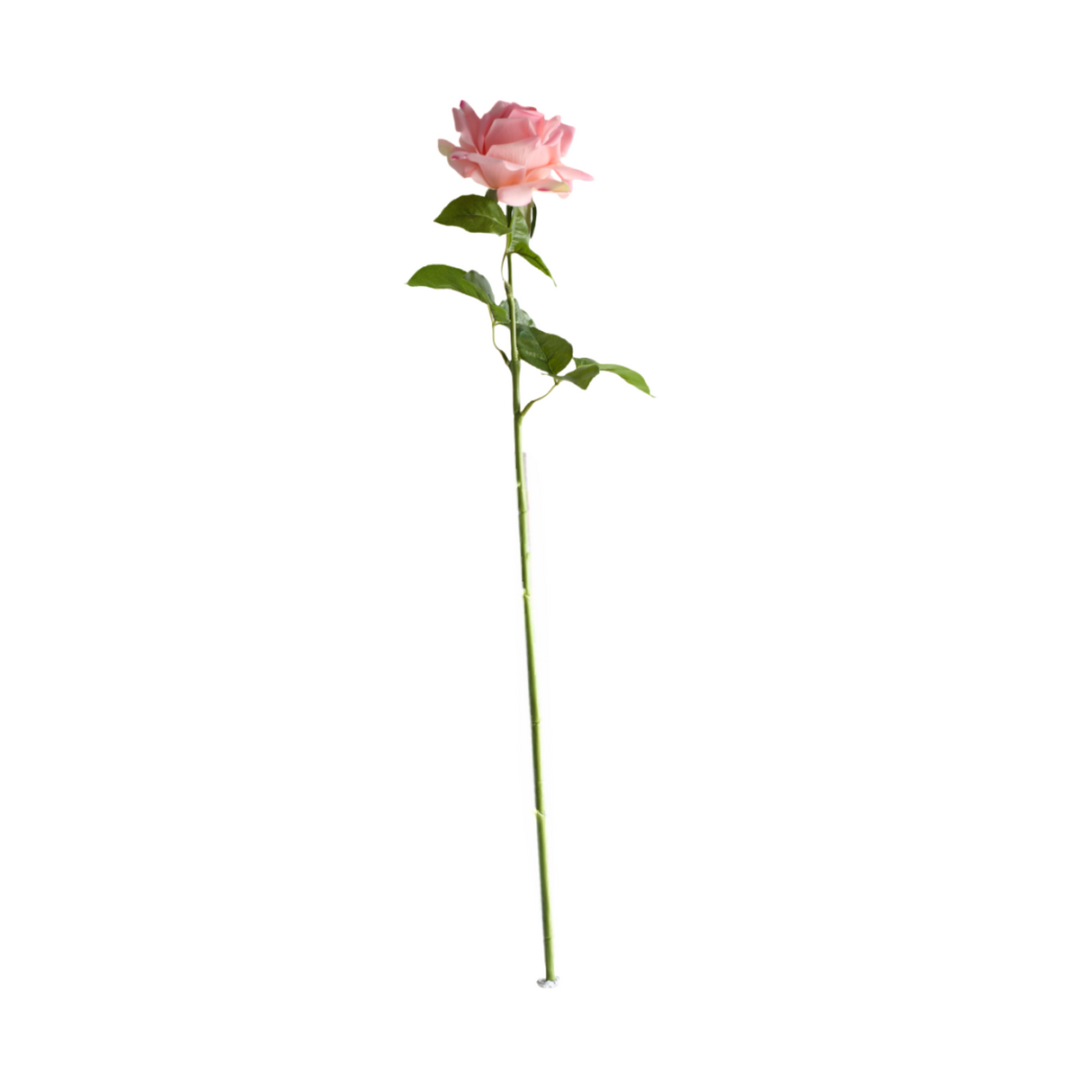 Rose roosa 64 cm