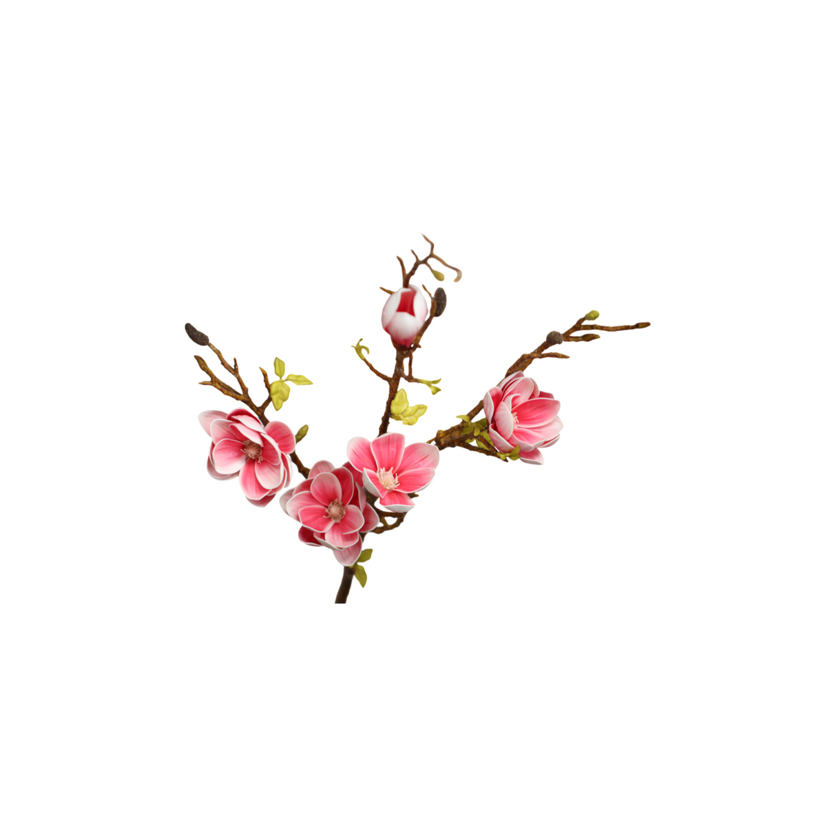 Magnolia vaaleanpunainen 106 cm