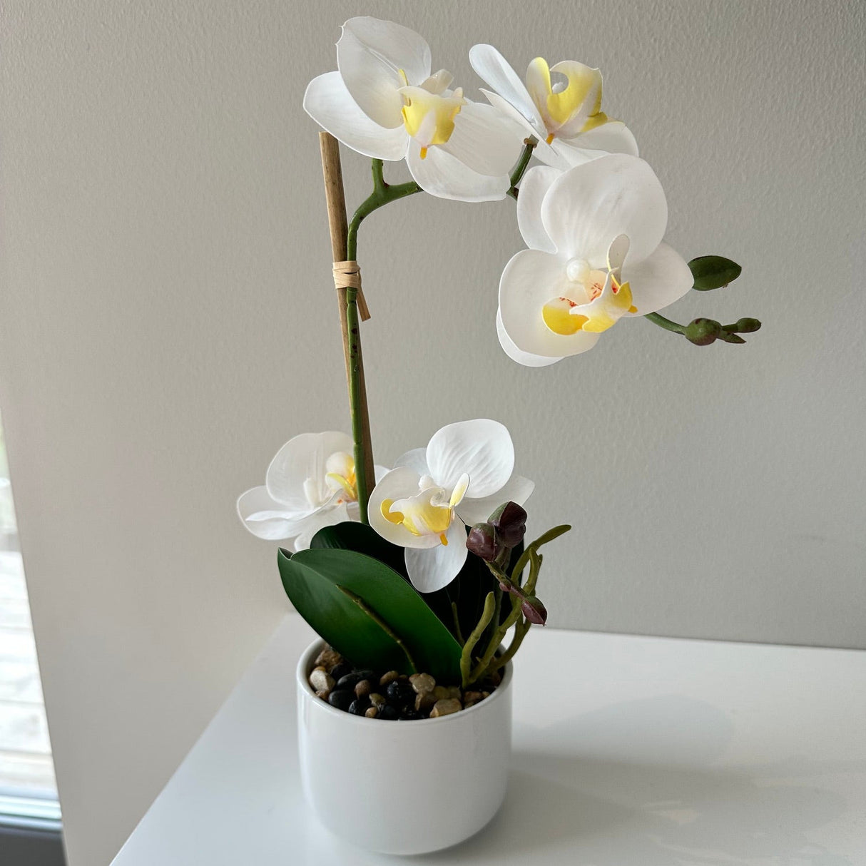 Orkidea valkoinen 30 cm