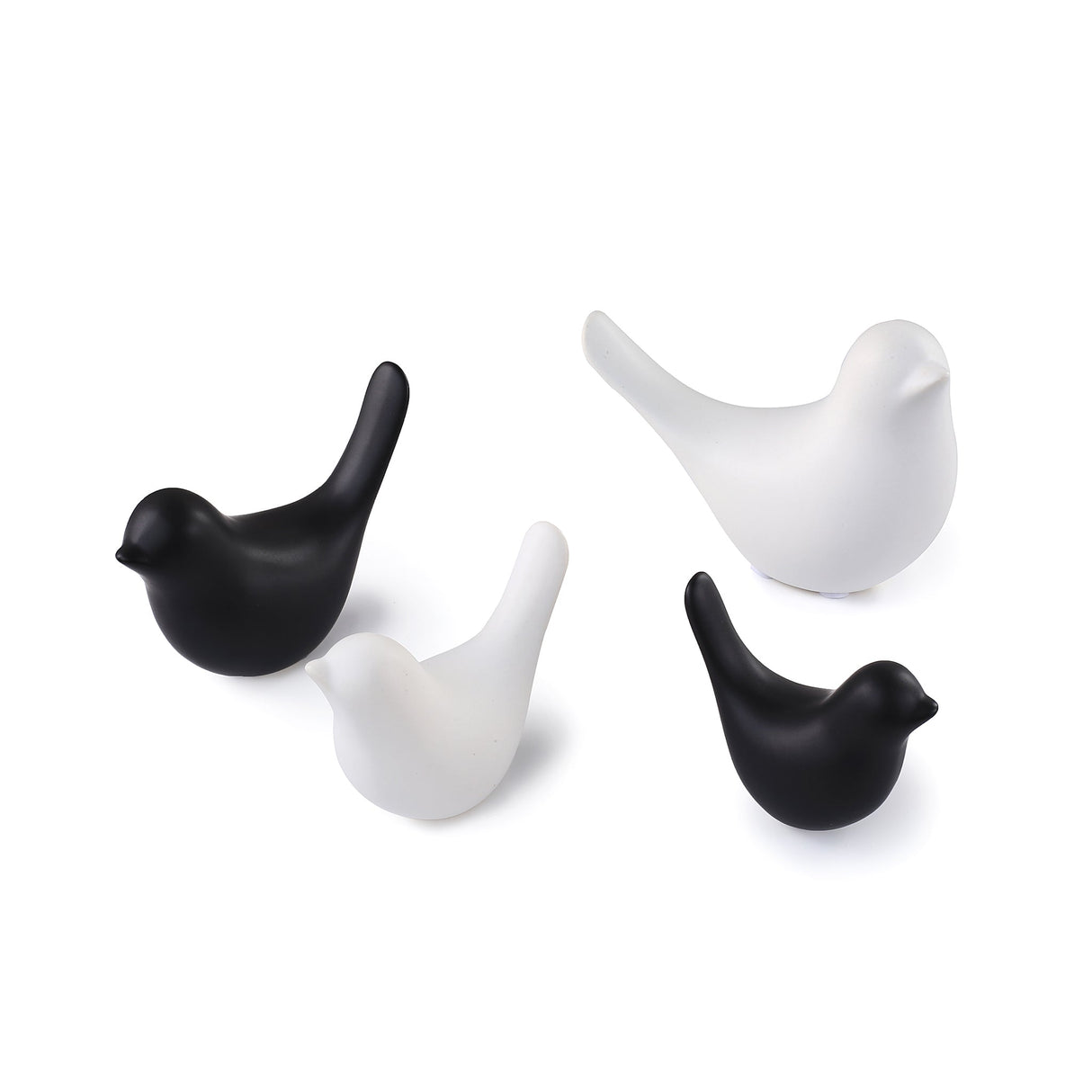 Bird lintukoriste musta iso