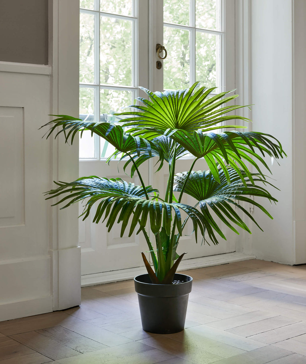 Flora Palmu 80 cm