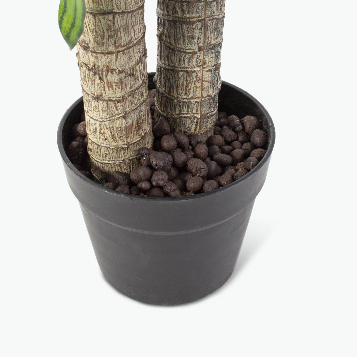 Flora tuoksutraakkipuu