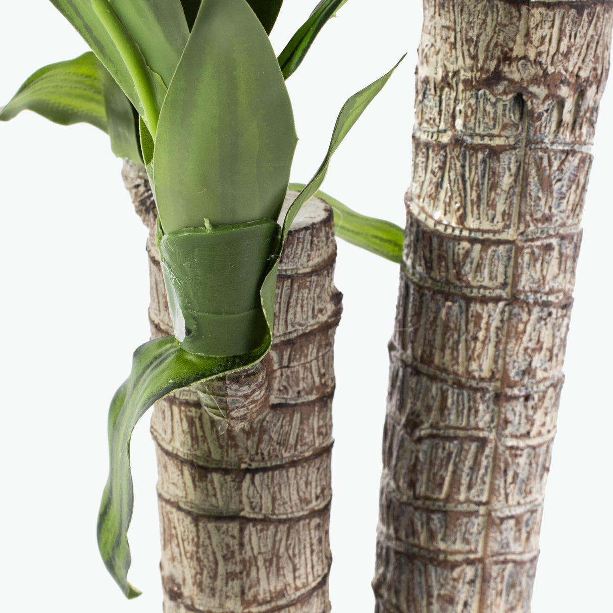 Flora tuoksutraakkipuu