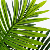 Flora palmu