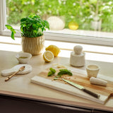 White Marble mortteli ja survin