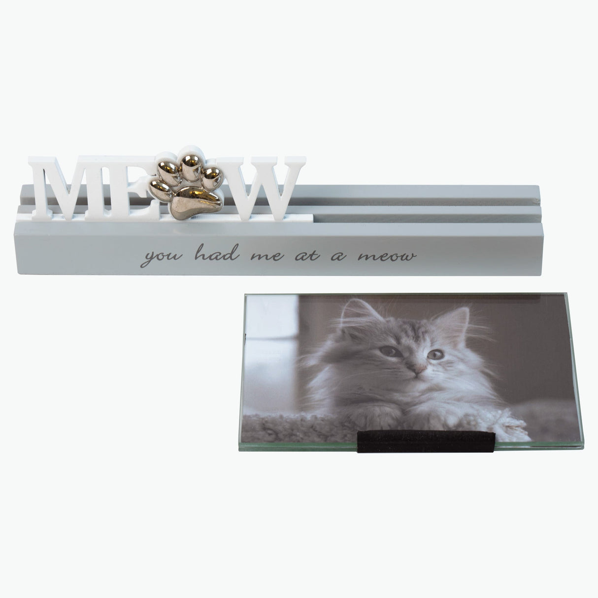 Meow kehykset