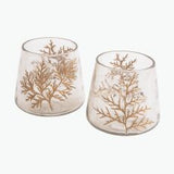 Cypress kynttilälyhty 2 kpl