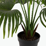 Flora Palmu 80 cm