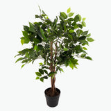 Flora Limoviikuna 90 cm