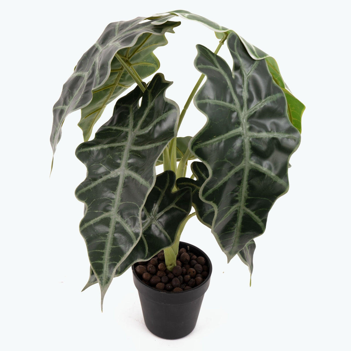 Flora Juurakkovehka 50 cm