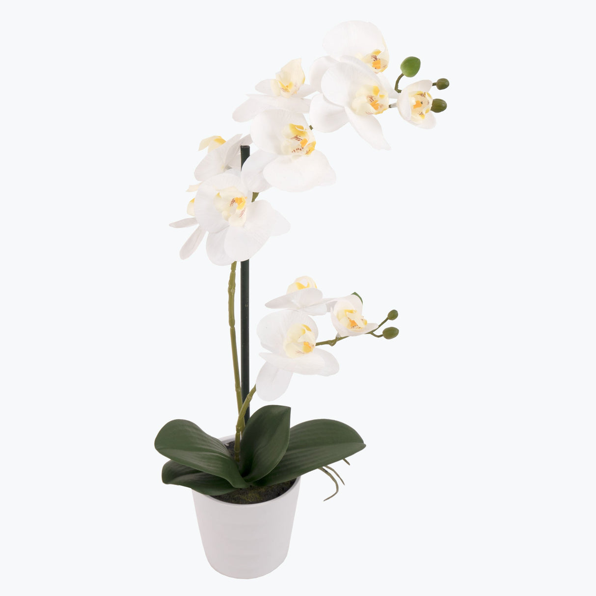 Flora Orkidea 51 cm