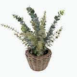 Flora Eukalyptus 50 cm