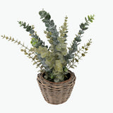 Flora Eukalyptus 50 cm