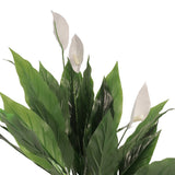 Flora Viirivehka 75 cm