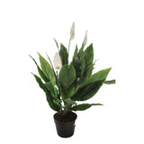 Flora Viirivehka 75 cm