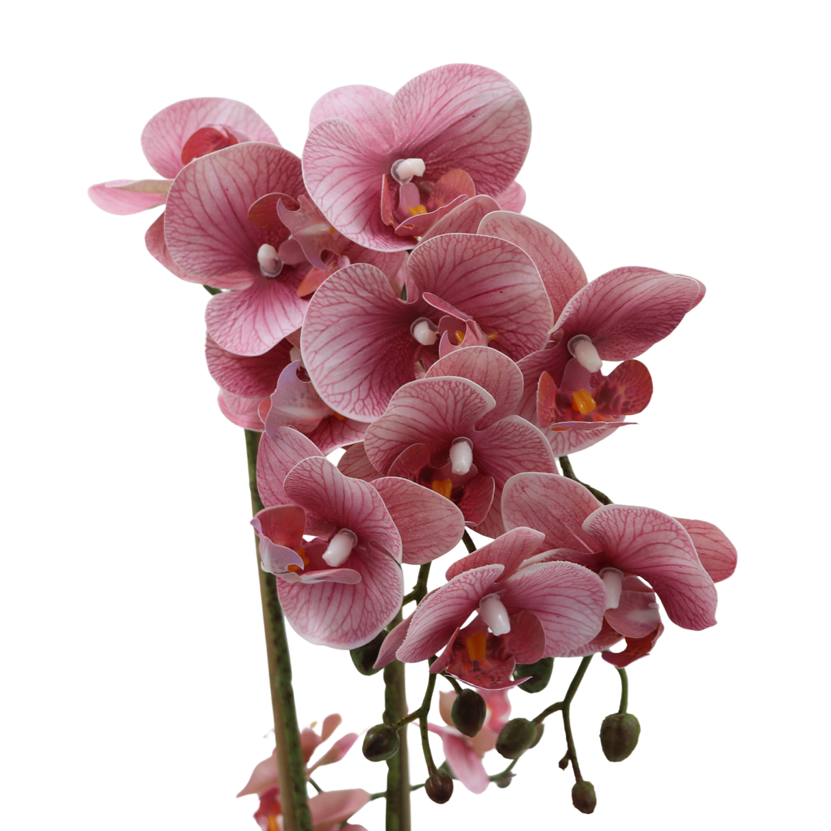 Orkidea roosa 47 cm valkoinen ruukku