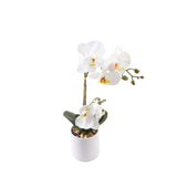 Valkoinen orkidea 35 cm