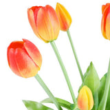 Tulppaani tulppaanit keltainen/punainen 40 cm 5 kpl