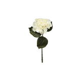 Hortensia valkoinen 62 cm