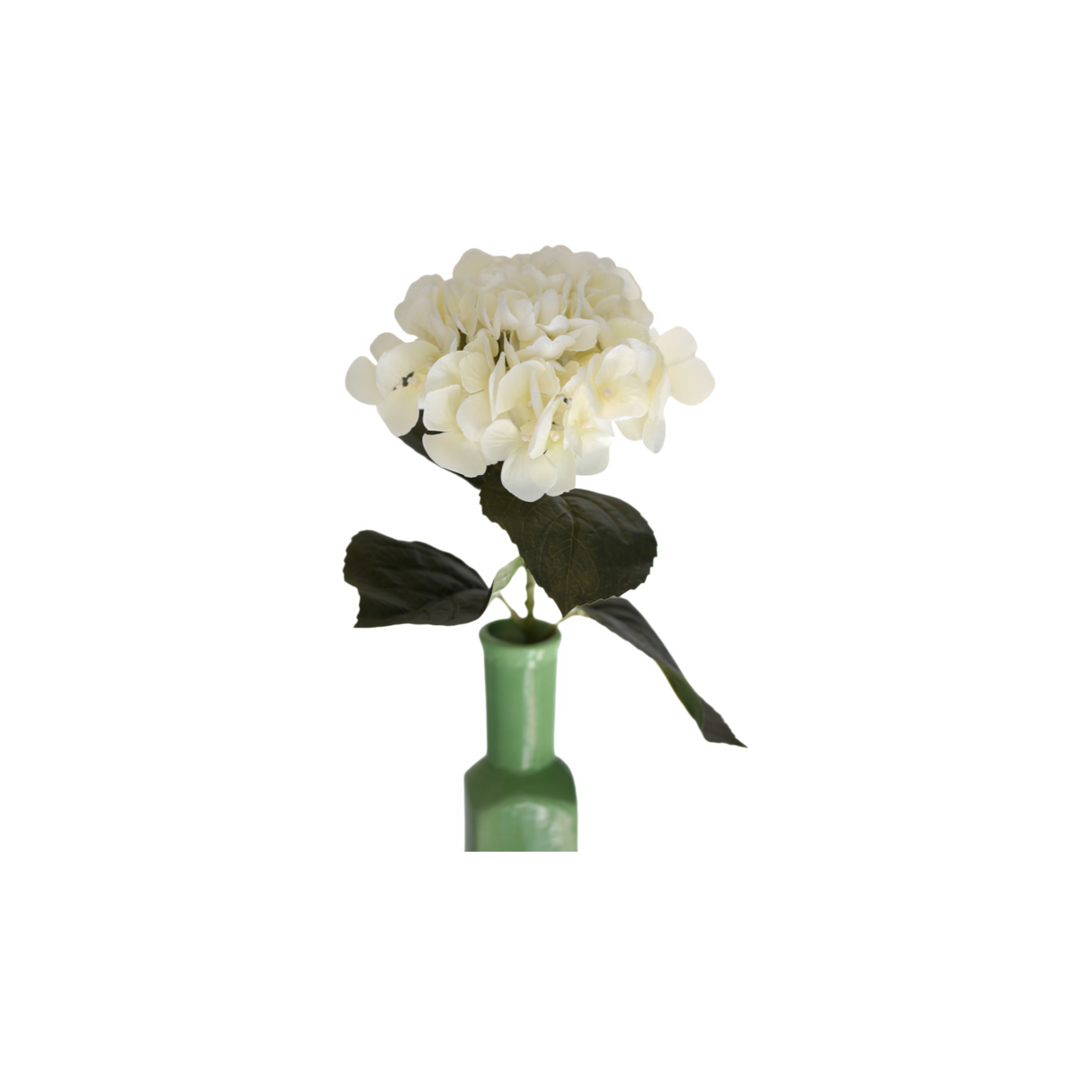 Hortensia valkoinen 62 cm