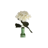 Hortensia valkoinen 62 cm