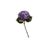 Hortensia sininen 62 cm