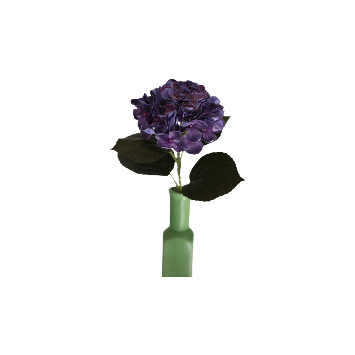 Hortensia sininen 62 cm