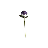 Hortensia sininen 62 cm