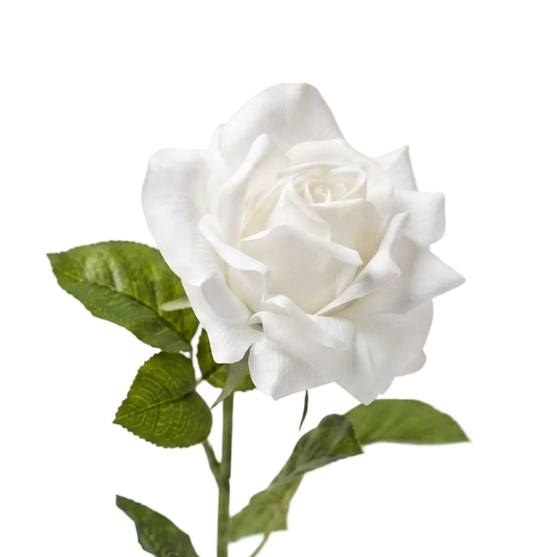 Rose valkoinen 64 cm