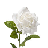 Rose valkoinen 64 cm