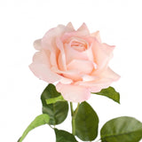 Rose vaaleanpunainen 64 cm