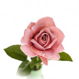 Rose vanha roosa 64 cm