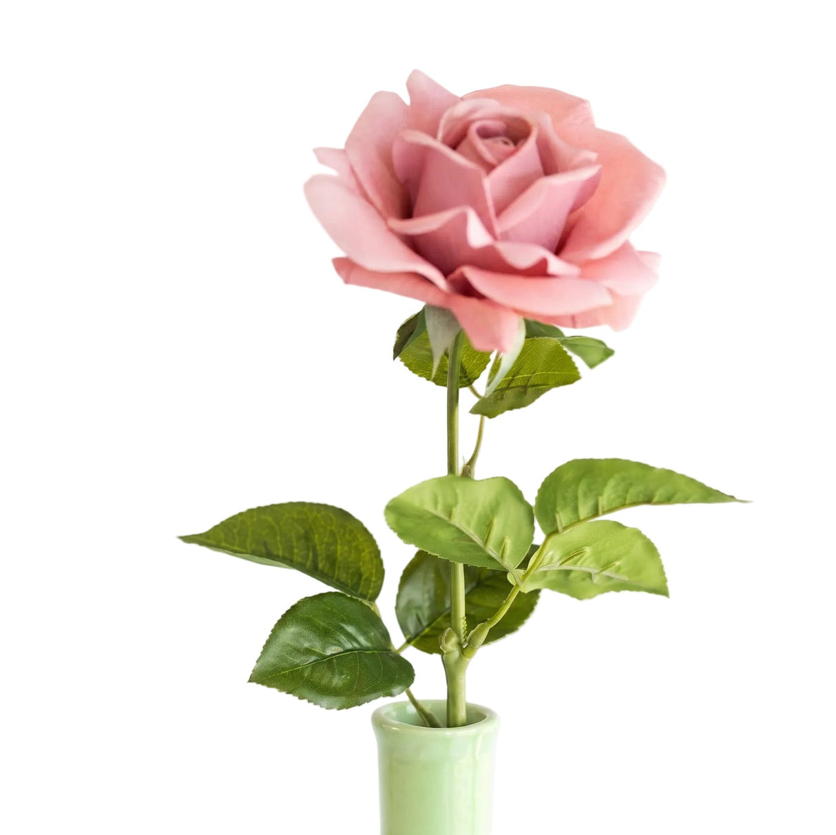 Rose vanha roosa 64 cm