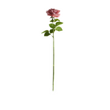 Rose vanha roosa 64 cm