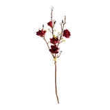 Magnolia viininpunainen 106 cm