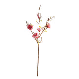 Magnolia vaaleanpunainen 106 cm