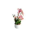 Orkidea vaaleanpunainen 30 cm