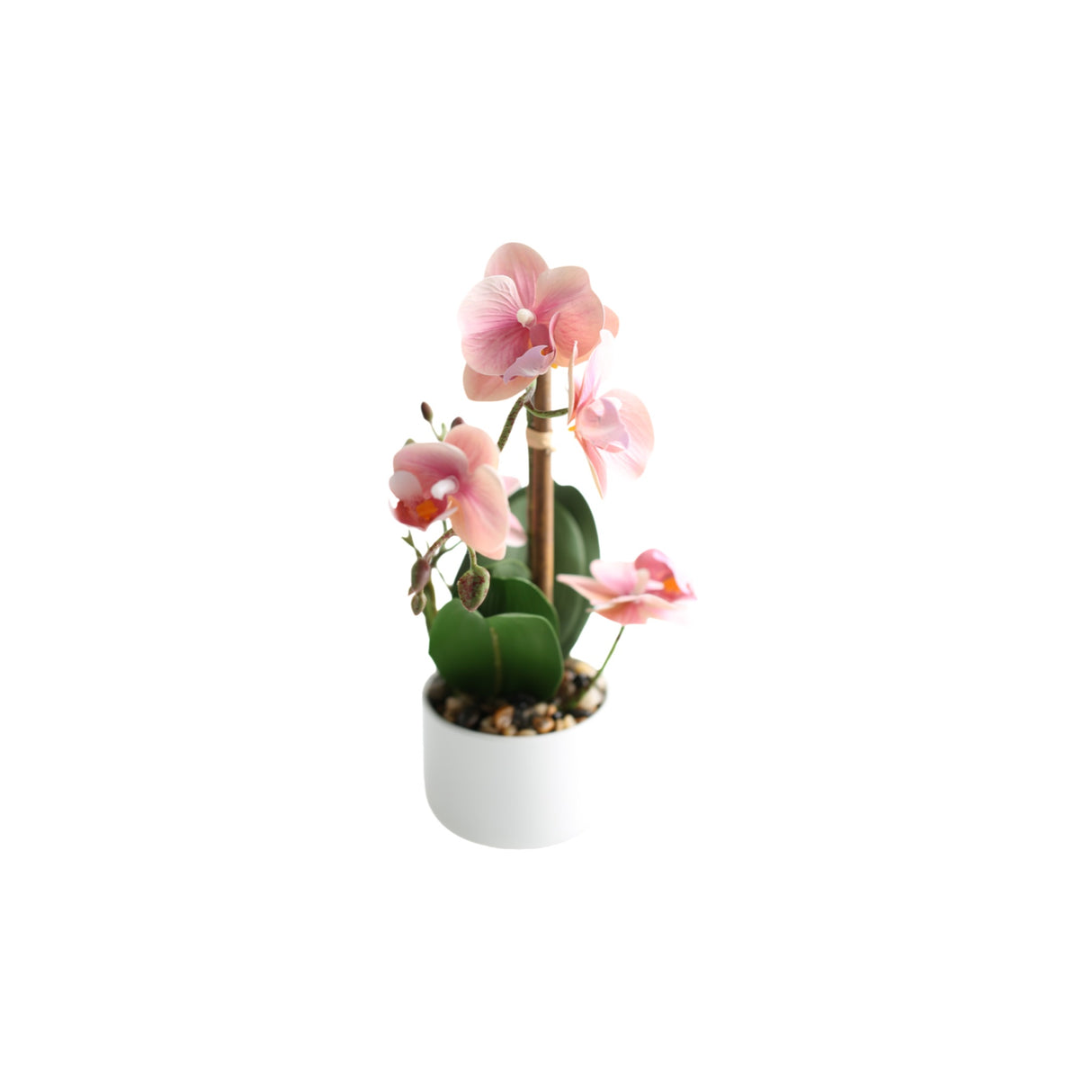 Orkidea vaaleanpunainen 30 cm