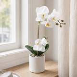 Valkoinen orkidea 35 cm